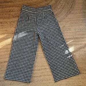 Zara Wide-Leg Pants